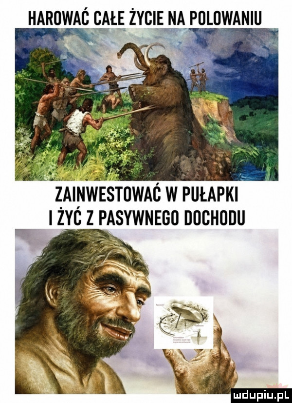 Obrazek