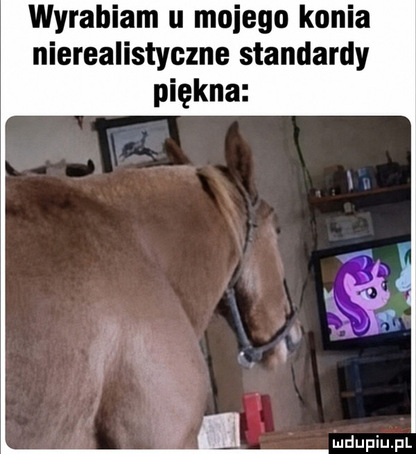 Obrazek