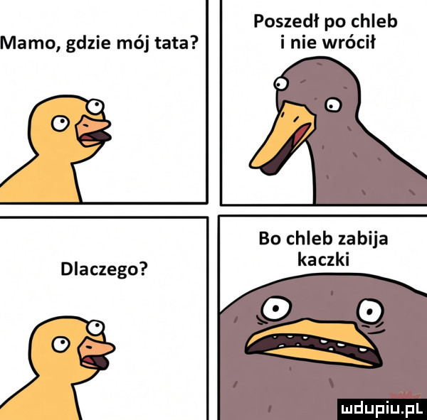 Obrazek