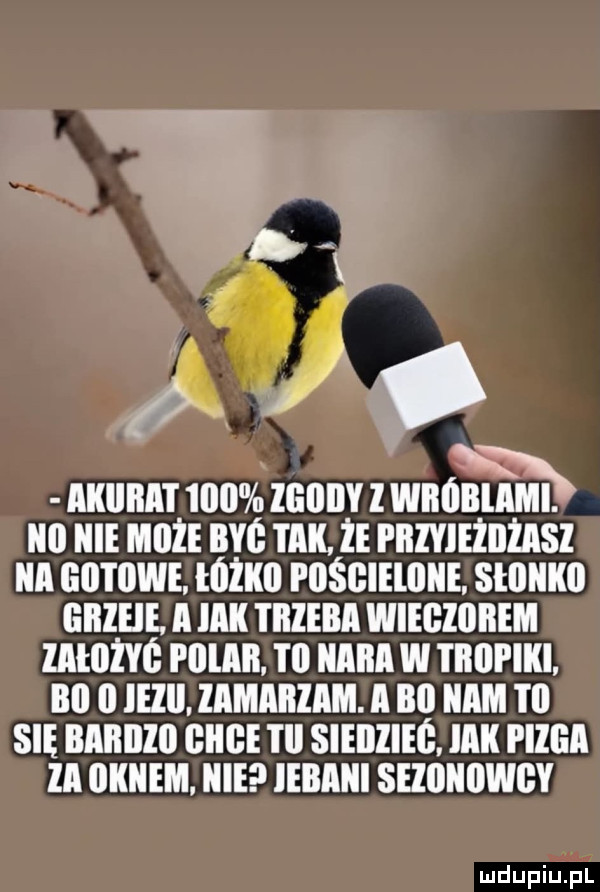 Obrazek