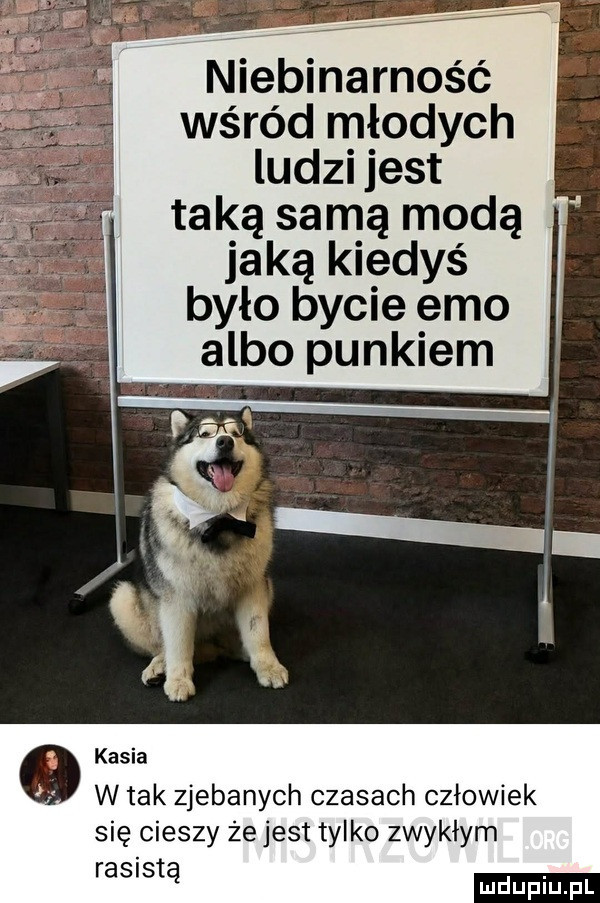 niebinarność wśród młodych ludzi jest taką samą modą jaką kiedyś było bycie emo albo punkiem kasia w tak zjebanych czasach człowiek się cieszy żejest tylko zwykłym ram