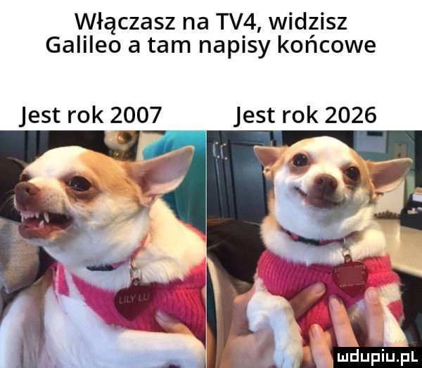 Obrazek