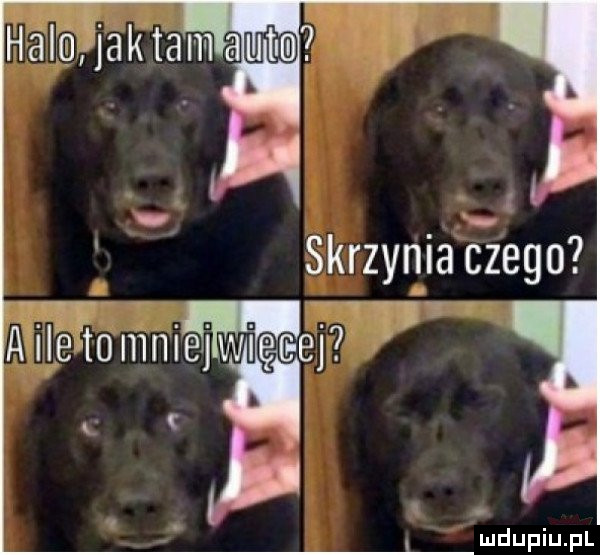 Obrazek