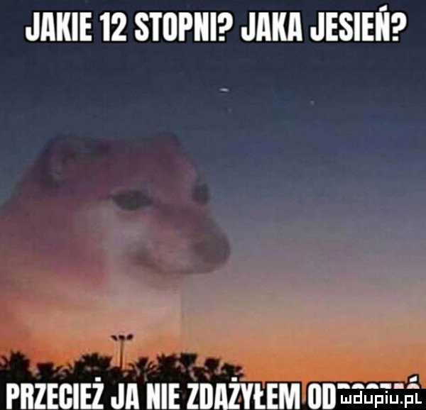 Obrazek