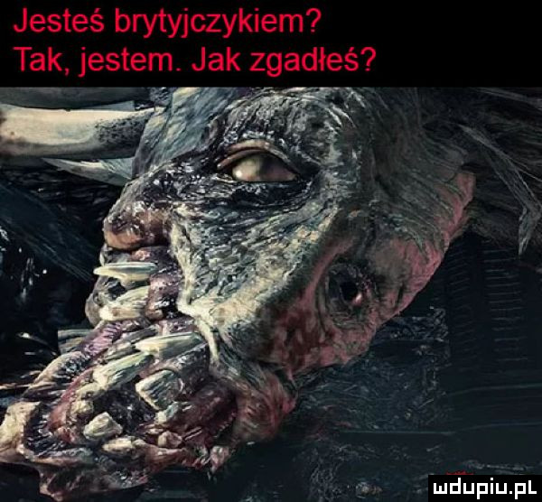 jesteś brytyjczykiem tak jestem jak zgadłeś rmeupiqul