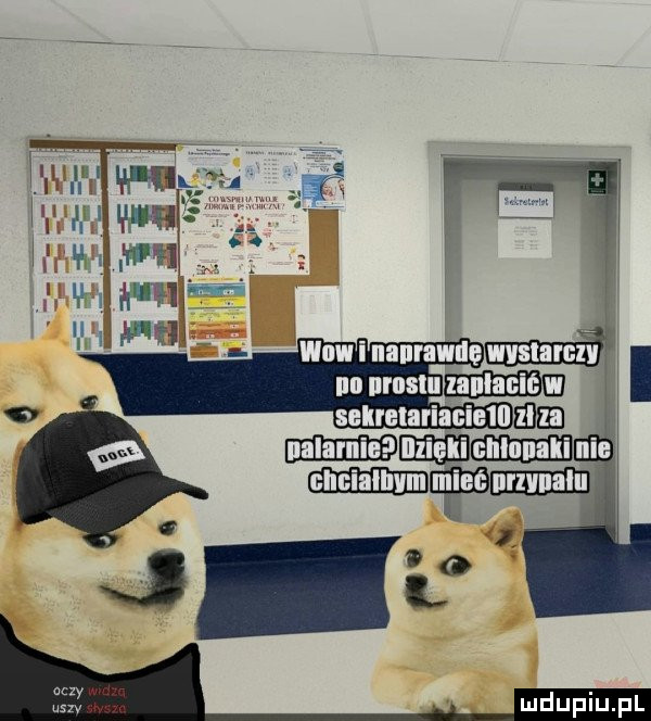 Obrazek