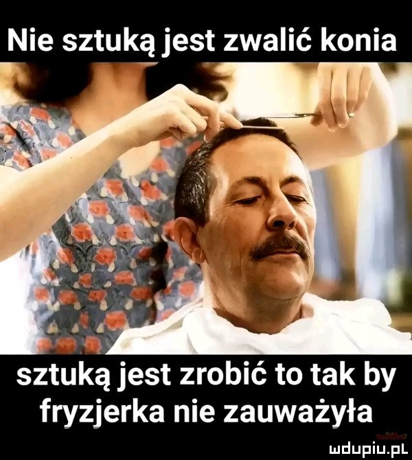 Obrazek