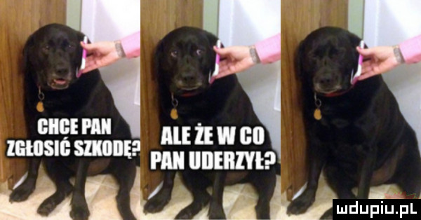 Obrazek