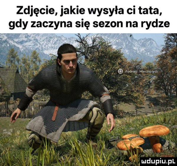 Obrazek