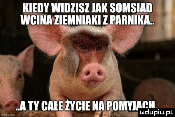 Obrazek