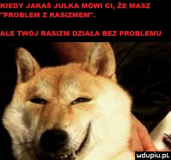 Obrazek
