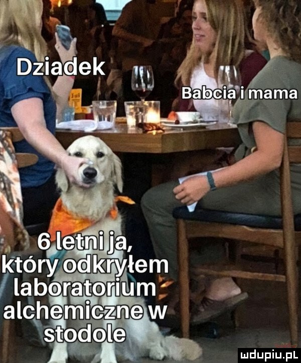 Obrazek