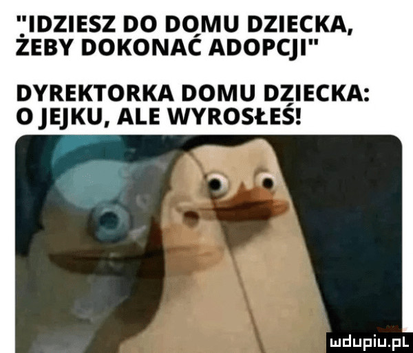 Obrazek