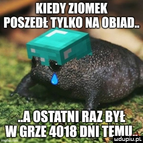 Obrazek