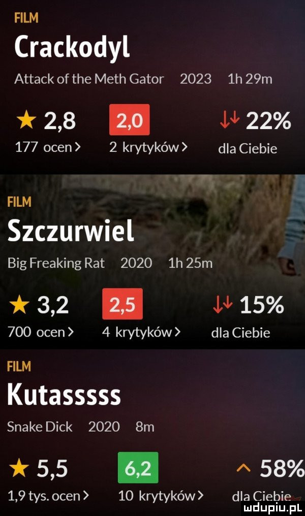 Obrazek