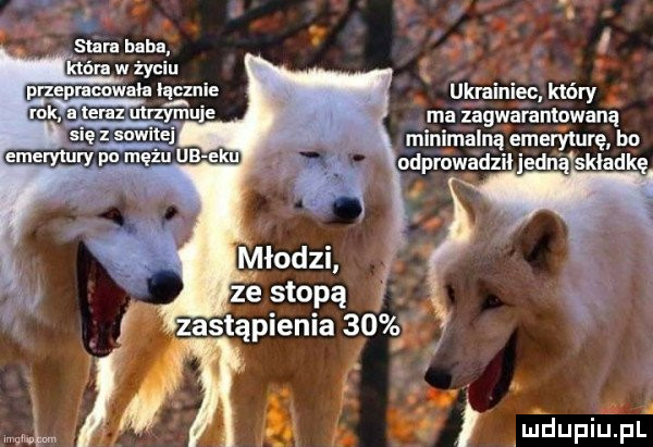 Obrazek