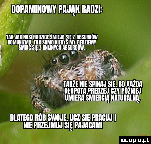 Obrazek