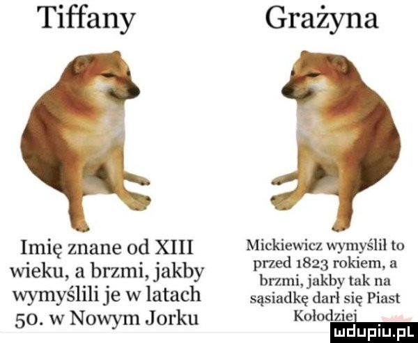 Obrazek
