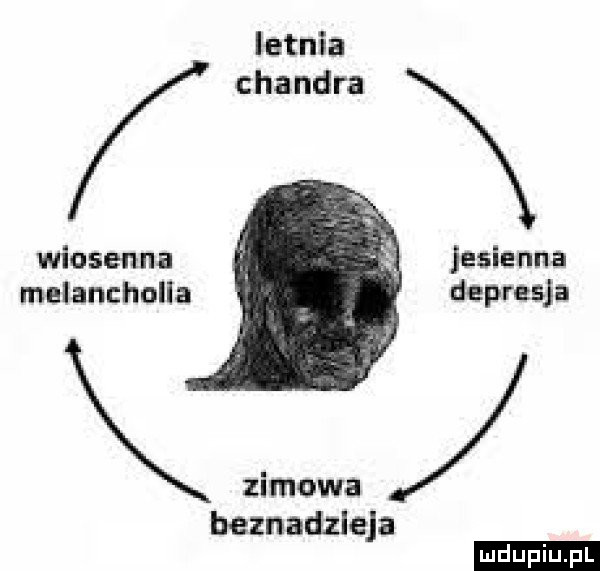 Obrazek