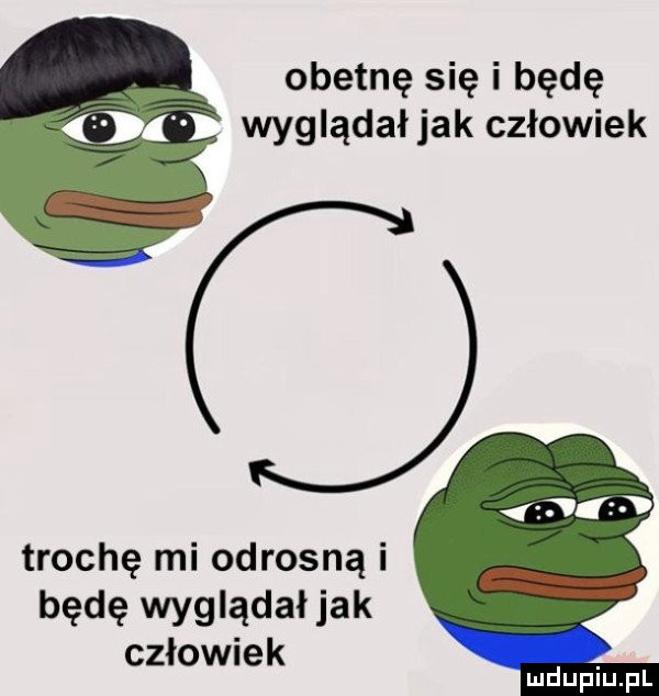 Obrazek
