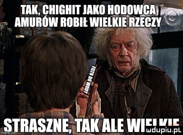 Obrazek