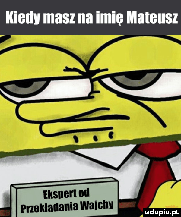 v elsner obi pneklallanla walsh d lu u p i u. p l