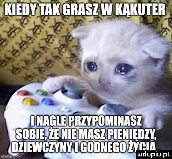 Obrazek