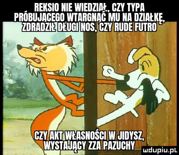 Obrazek