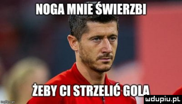 iiiiga mai ewświeiizbi     żeiiyqt gis i iileliś apud duiun f