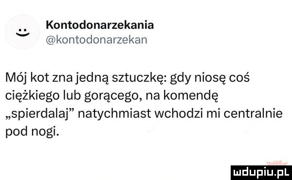kontodonarzekania kontodonarzekan mój kot znajedną sztuczkę gdy niosę coś ciężkiego lub gorącego na komendę spierdalaj natychmiast wchodzi mi centralnie pod nogi. ludu iu. l