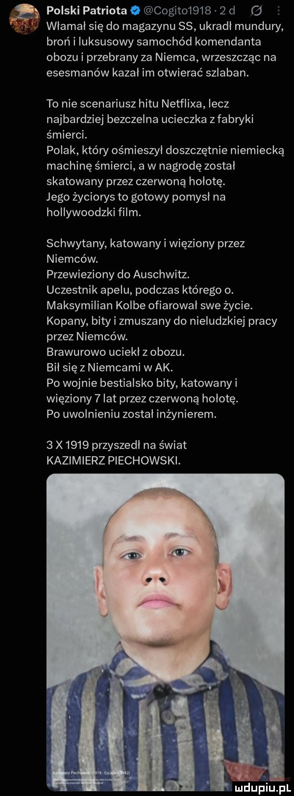Obrazek