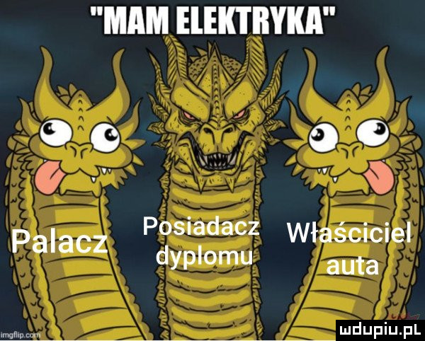 mam elek i iłyka co  . posiadacz właściciel palacz dyplomu auta mm m
