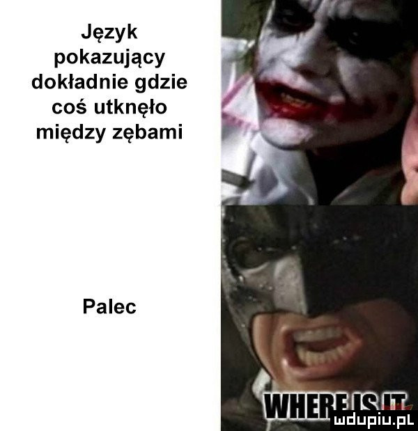 Obrazek