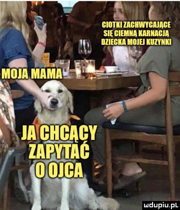 Obrazek
