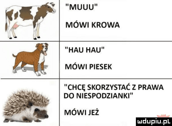 Obrazek