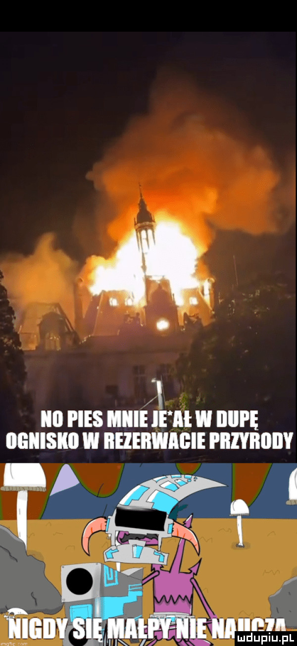 Obrazek