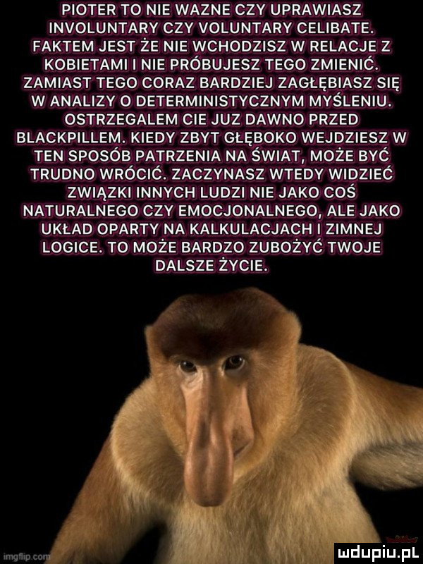 Obrazek
