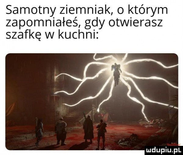 Obrazek