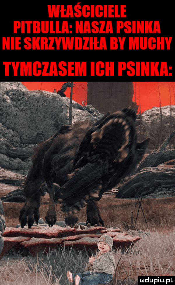 Obrazek