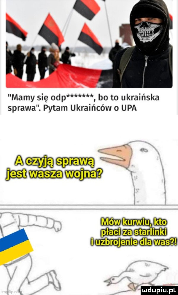 Obrazek