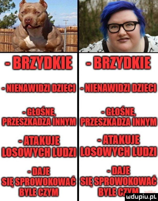 Obrazek