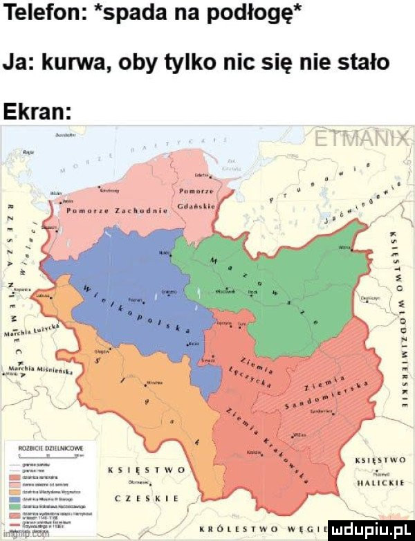 Obrazek
