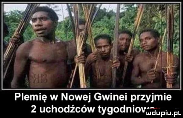 plemię w nowej gwinei przyjmie   uchodźców tygodniovugupm. fl