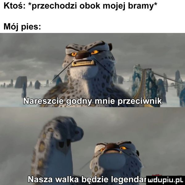 ktoś przechodzi obok mojej bramy i y hl nwamgeszmgrgggljy male przemwpik. nasza walka będzie legendał