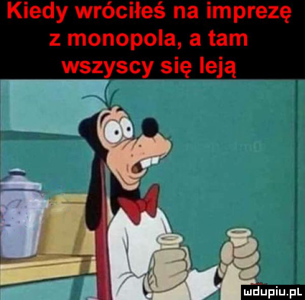 kiedy wróciłeś na imprezę z monopoda a tam wszyscy się leją w md upiupl