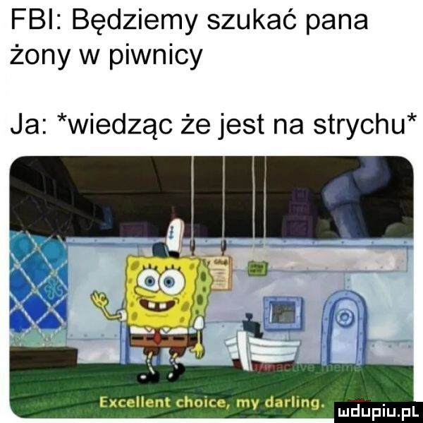 fbi będziemy szukać pana żony w piwnicy ja wiedząc że jest na strychu