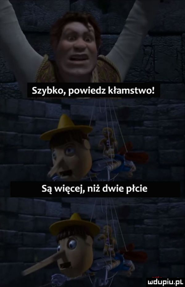 szybko powiedz kłamstwo są więcej niż dwie płcie