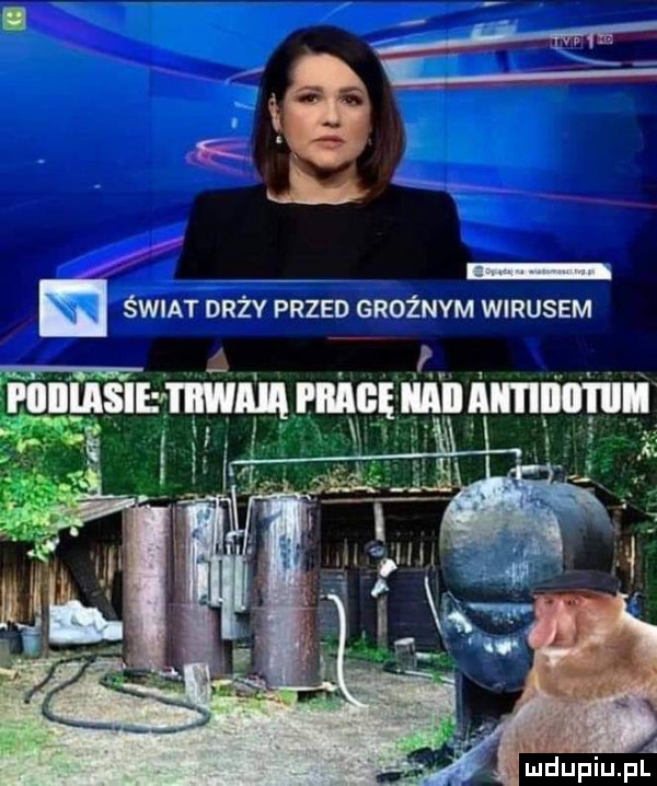 śle drży przed groznym wirusem rr w a