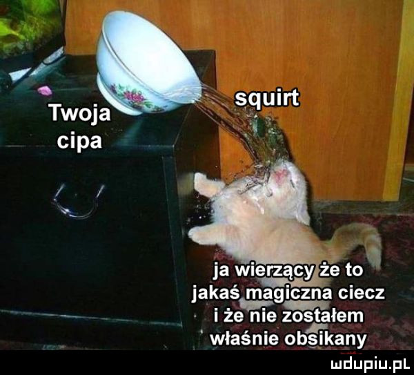 q ja wierzący żż to jakaś magiczna ciecz i że nie zostałem właśnie obli kany