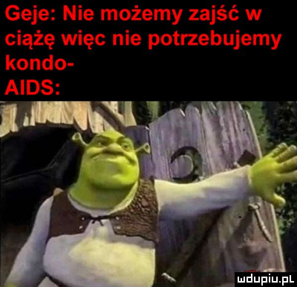 ludupiu. pl